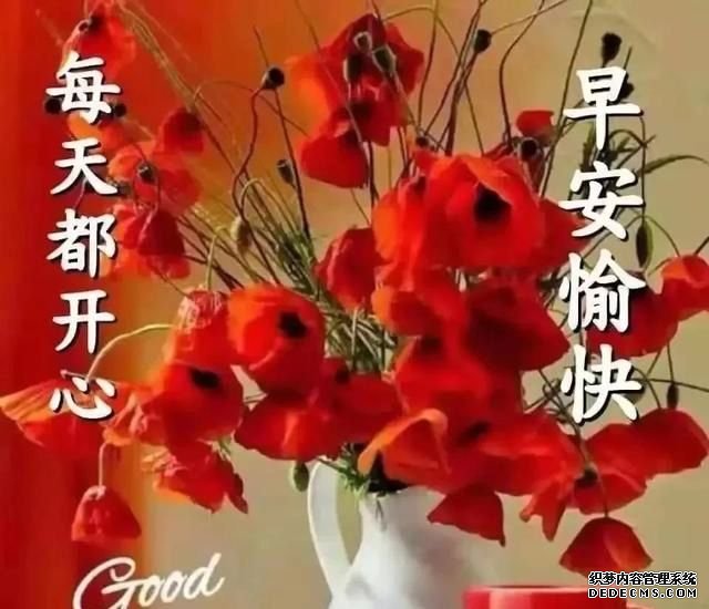 23³ʮ簲ʺףͼƬ