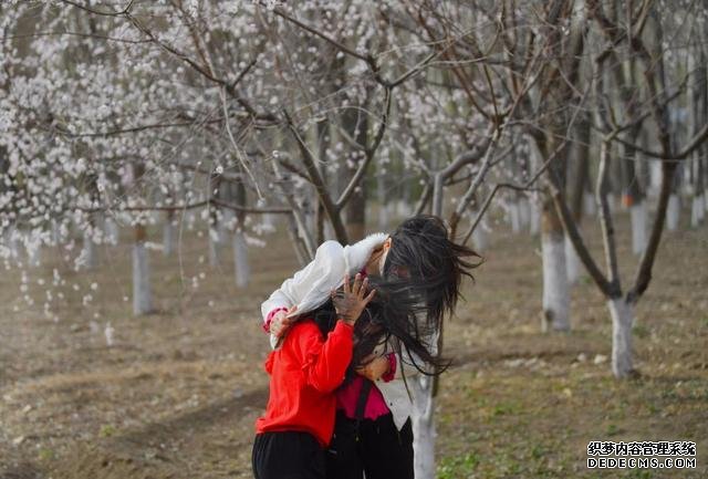 3月26日·北京要闻及抗击肺炎快报