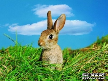 4ФƺʩԵ񡢻»긣