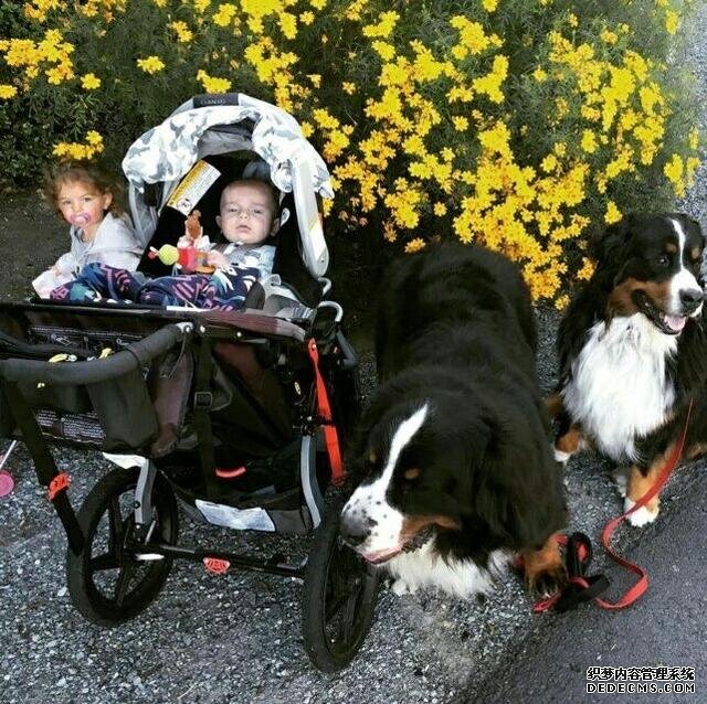 4СŮ;ʿĲ֮ԵڣҾİ