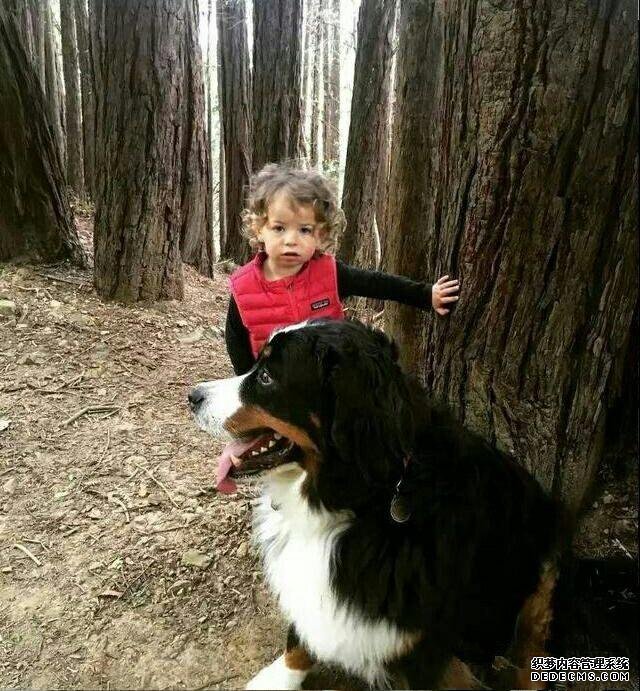4СŮ;ʿĲ֮ԵڣҾİ