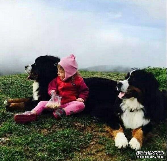 4СŮ;ʿĲ֮ԵڣҾİ