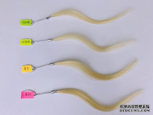 4款植物染发霜大PK,看谁是最后赢家