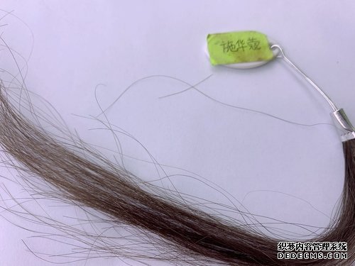 4款植物染发霜大PK,看谁是最后赢家