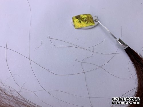 4款植物染发霜大PK,看谁是最后赢家