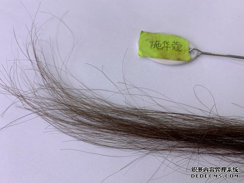 4款植物染发霜大PK,看谁是最后赢家