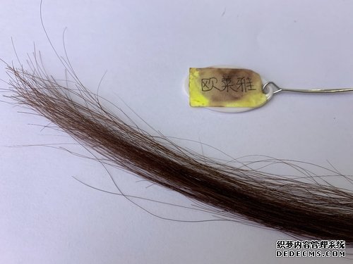 4款植物染发霜大PK,看谁是最后赢家