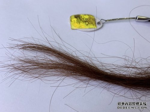 4款植物染发霜大PK,看谁是最后赢家