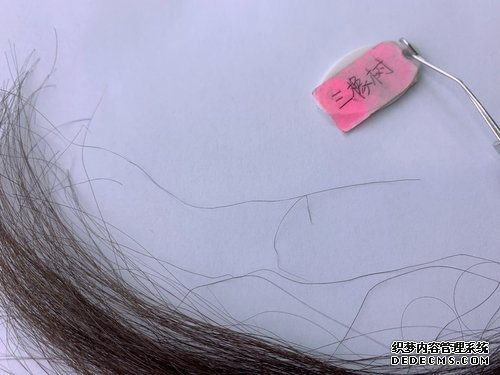 4款植物染发霜大PK,看谁是最后赢家
