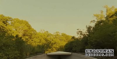 《月升王国》:一个理想的国度,对现实的反思,对“爱”的向往